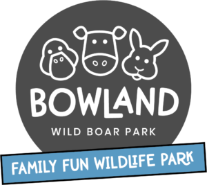 Free Animal Park Tickets for Accommodation bookings