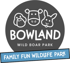 Bowland Wild Boar Park