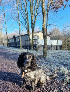 New Dog Friendly Lodge available for Holidays