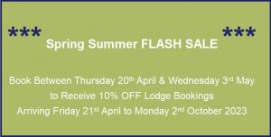 Spring Summer FLASH Sale