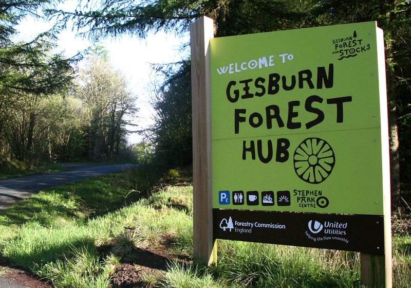 Gisburn Forest